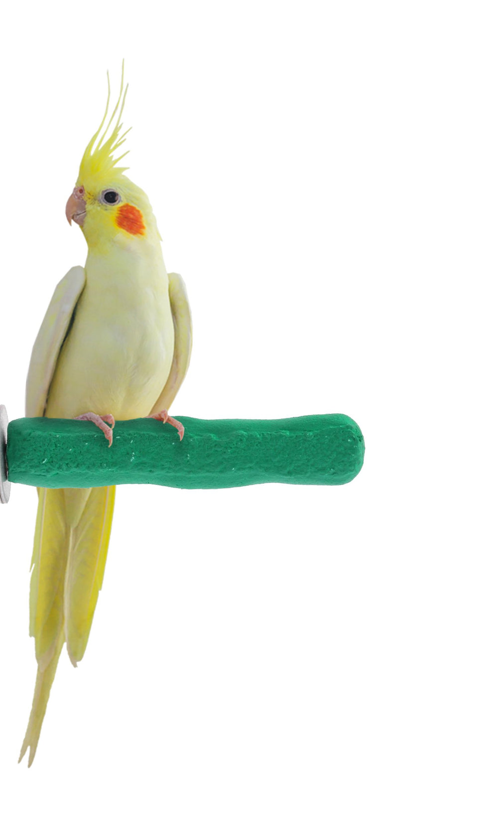 Sweet Feet and Beak comfort-grip perch XS 4.5 inches installation demonstrates easy cage mounting for secure use.