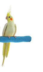 Sweet Feet and Beak comfort grip perch XS blue front view supports safe nail care and grip