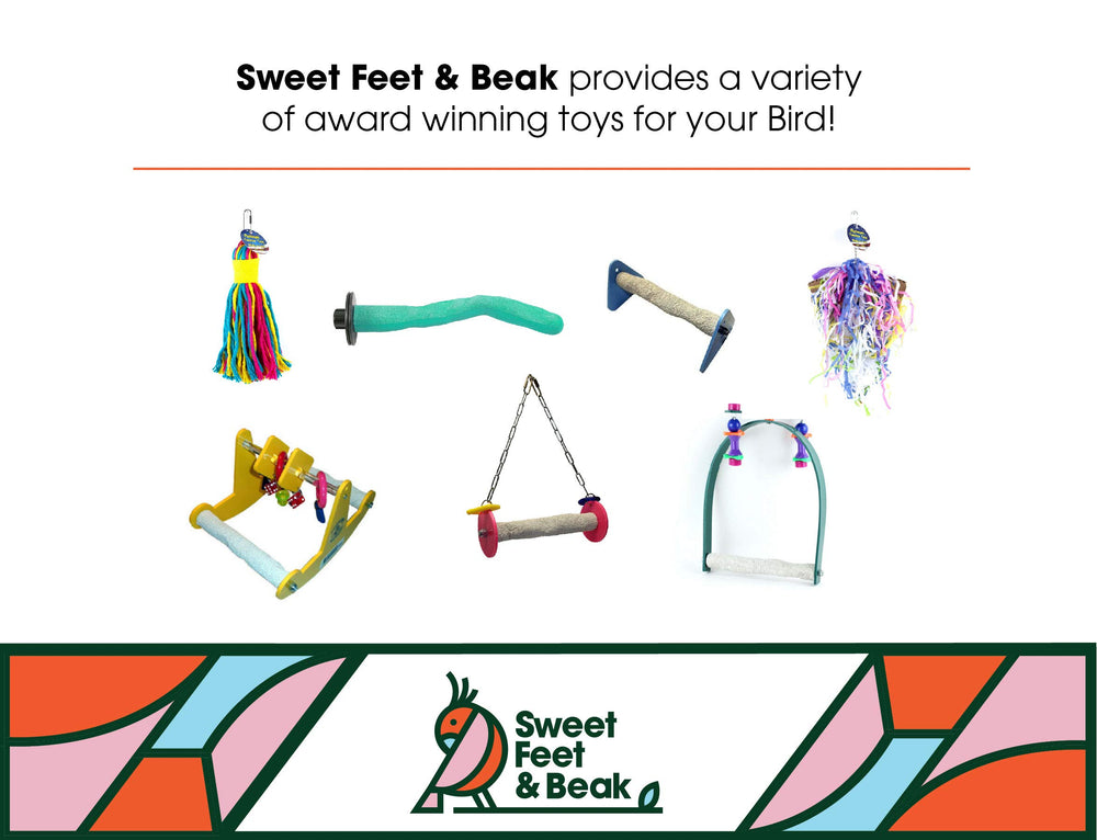 Sweet Feet and Beak durable concrete perch designed for long-lasting use