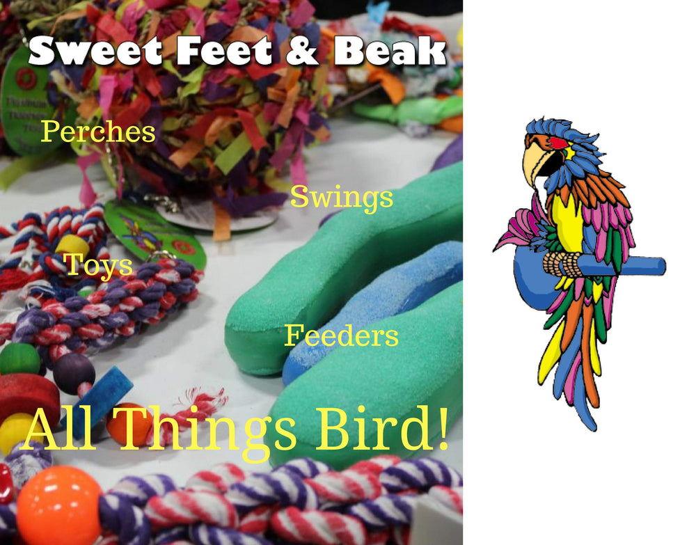 Sweet Feet and Beak yellow perch color adds visibility and appeal while supporting nail-friendly pedicure.