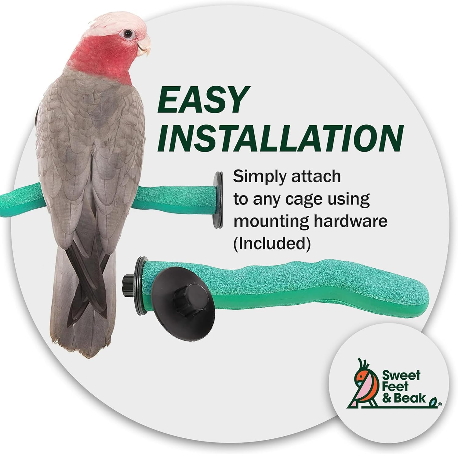 Sweet Feet & Beak safety pumice perch blue color demonstrated in cage