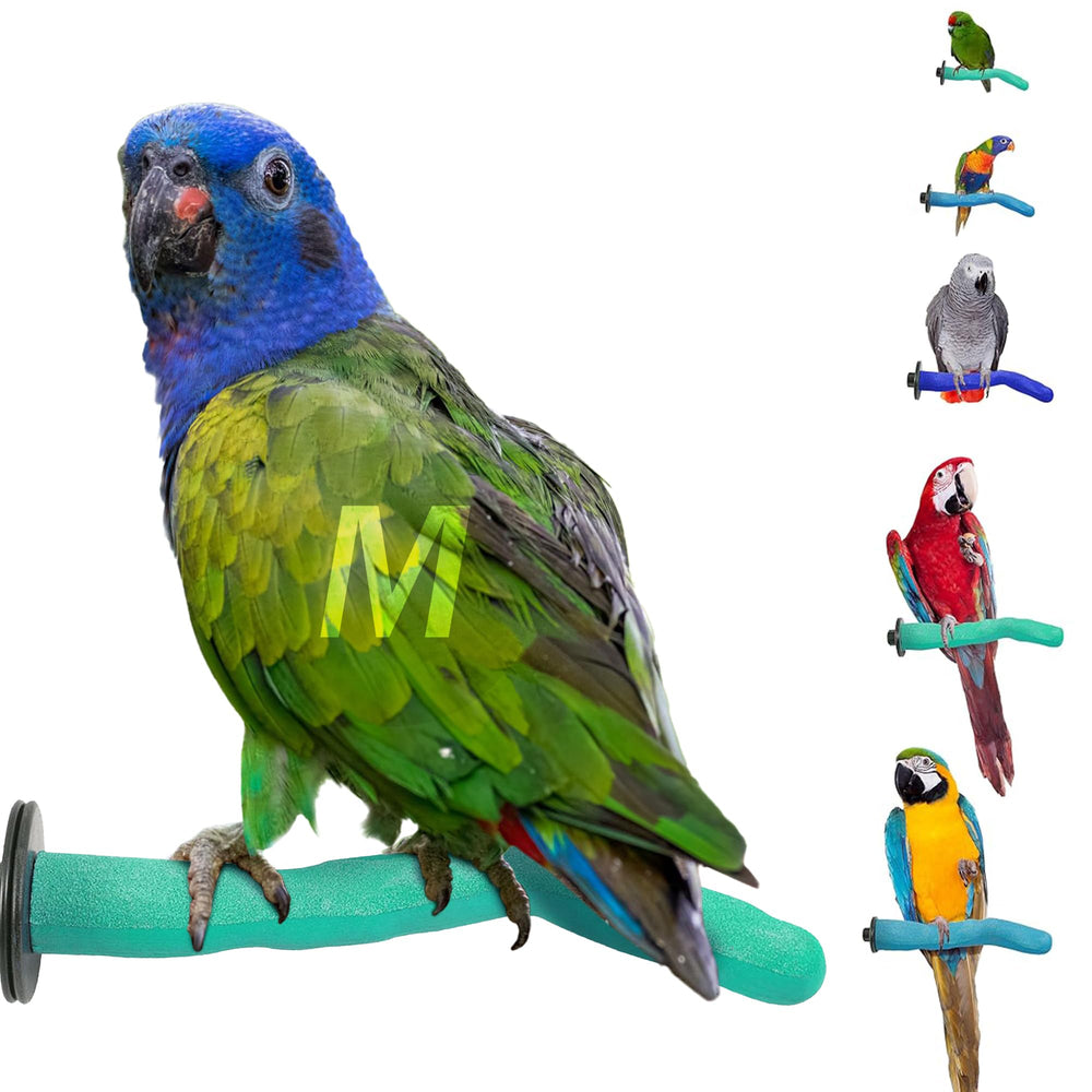 Sweet Feet & Beak safety pumice perch top view shows gentle surface for tender feet.