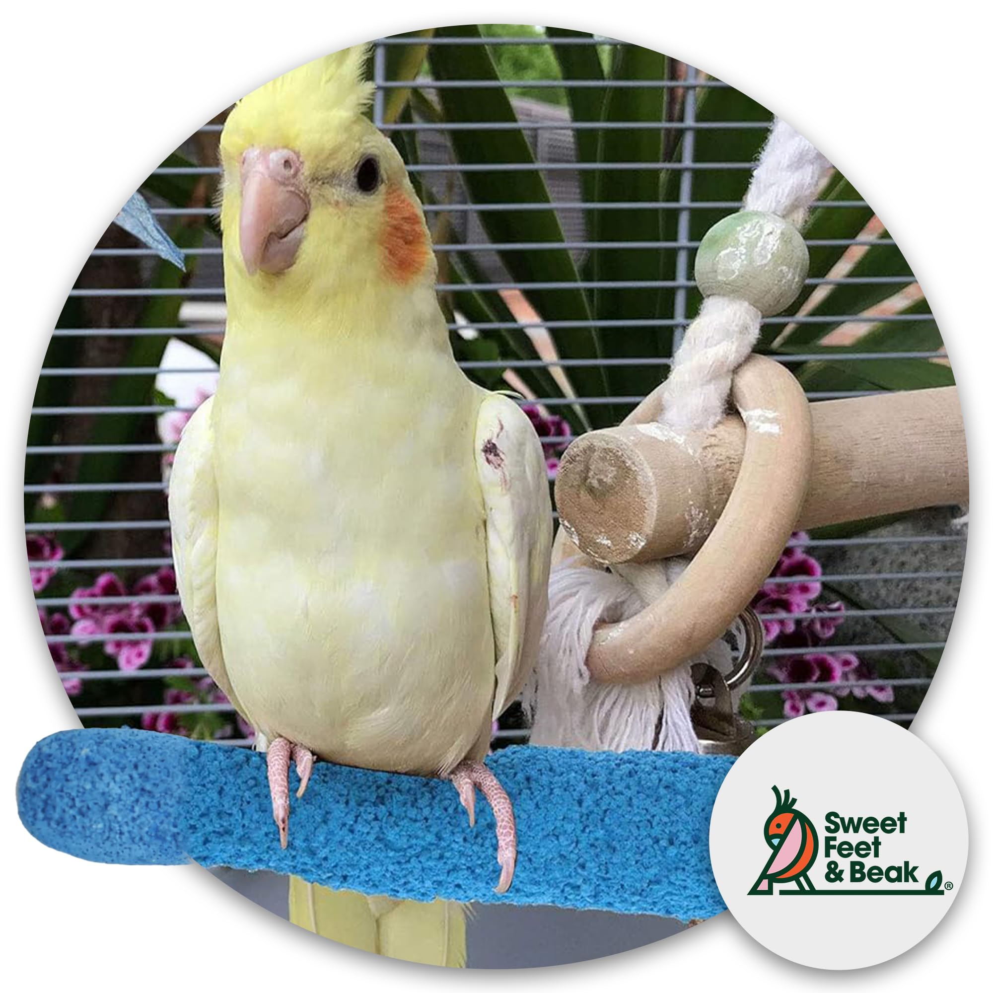 Sweet Feet & Beak Comfort Grip Perch side grip detail highlights textured surface for secure footing