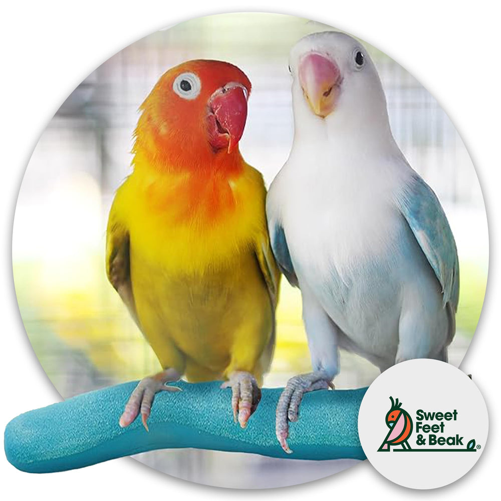 Sweet Feet & Beak Safety Pumice Perch green side texture for nail maintenance