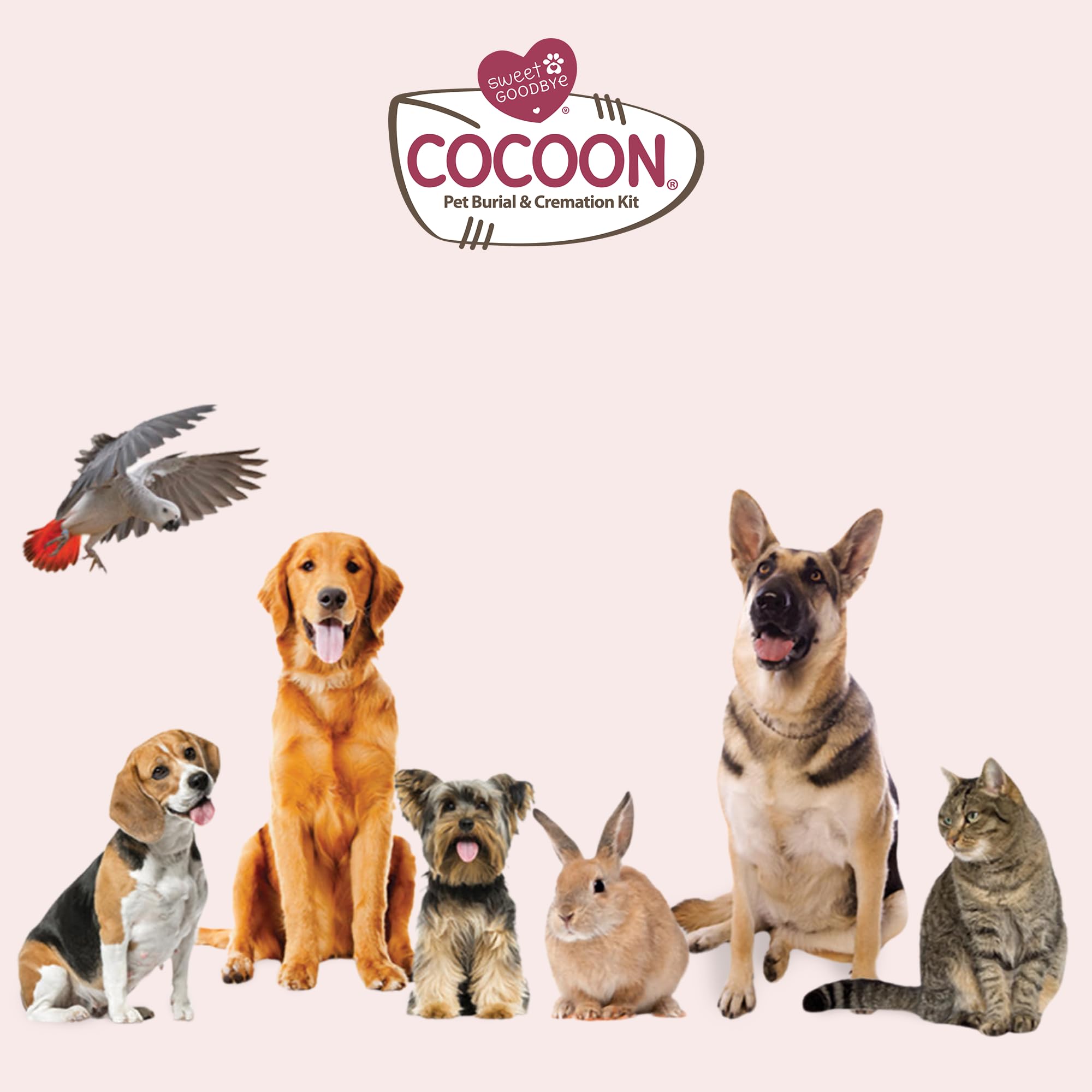Sweet Goodbye Cocoon kit dimensions chart guides accurate size selection.