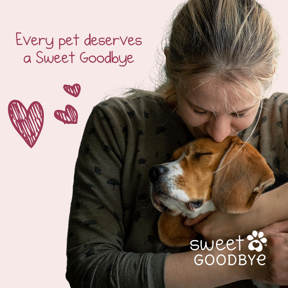 Sweet Goodbye Cocoon family ceremony setup supports a respectful farewell