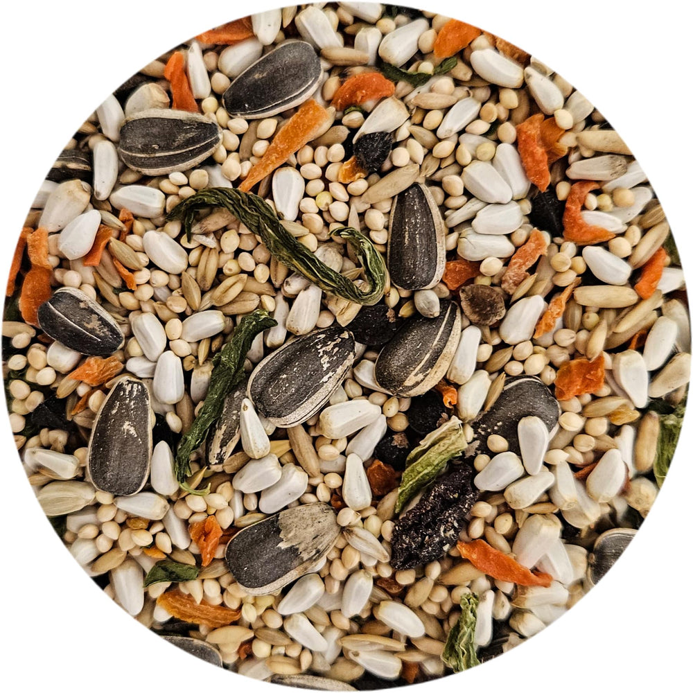 Sweet Harvest Cockatiel Food in bowl demonstrates reduced waste.