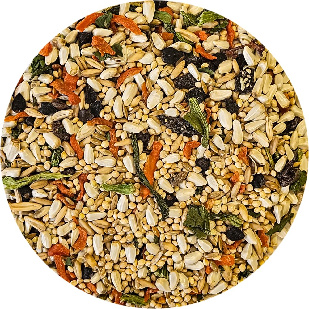 Sweet Harvest seed mix stored neatly with no fillers visible.