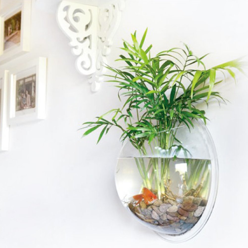 Sweetsea clear acrylic bowl bright, durable display for bettas and tiny fish.