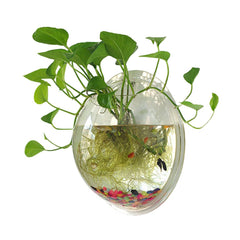 Sweetsea hanging wall mount fish bowl front view shows space-saving decor.