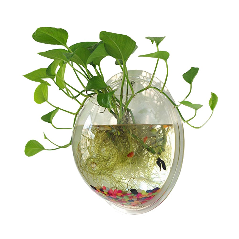 Sweetsea hanging wall-mounted fish bowl space-saving design for small rooms.