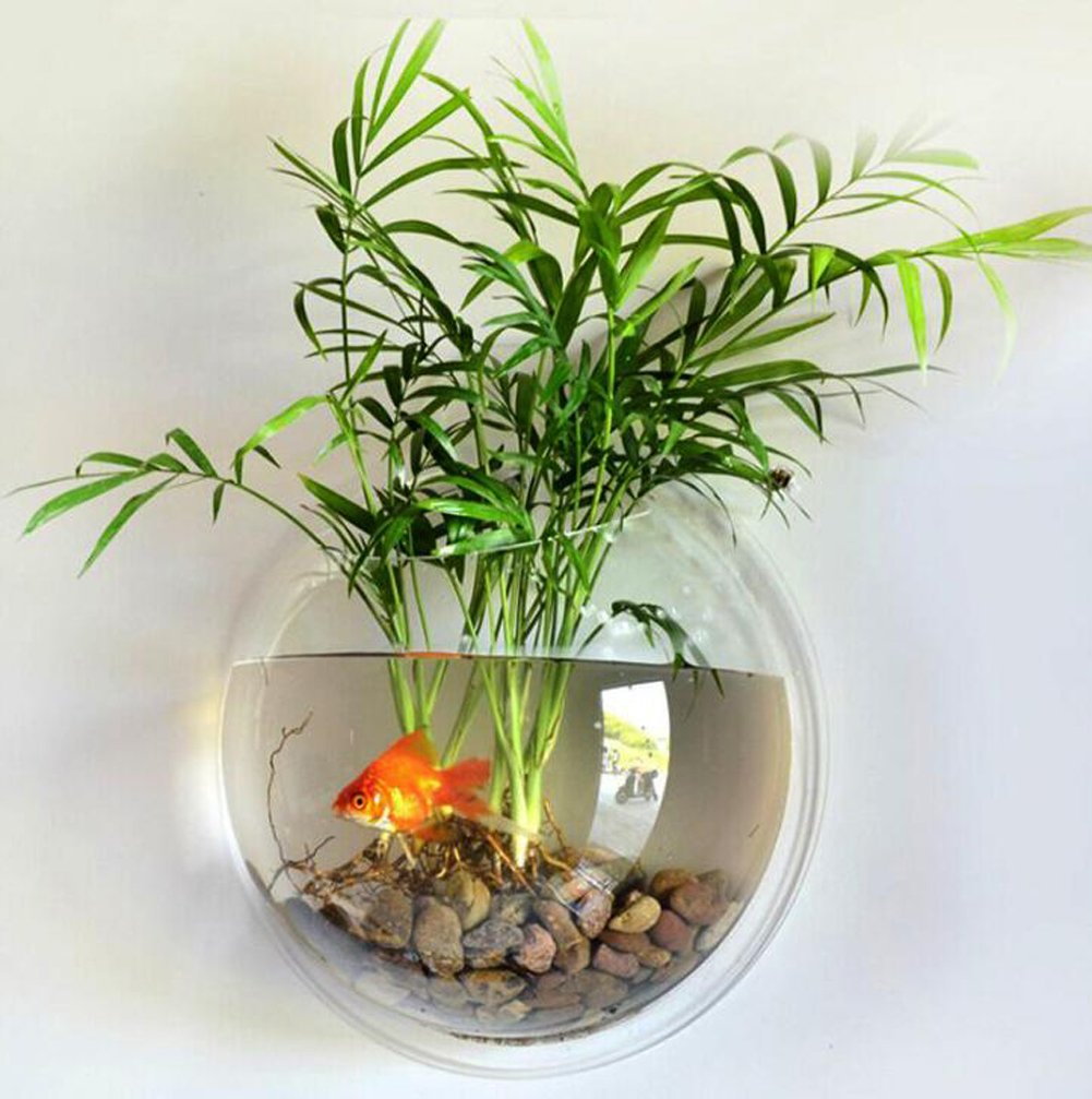 Sweetsea mini-aquarium ideas for Bettas or live plants in decor.