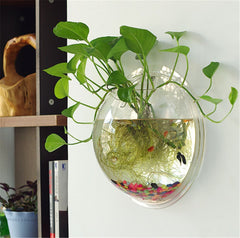 Sweetsea wall-mounted fish bowl with plants display for tight apartments.