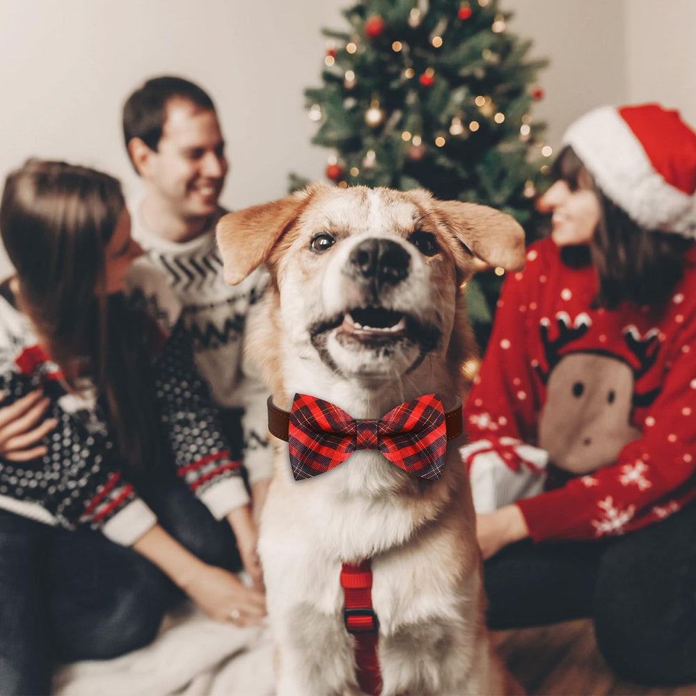 Sweetude Christmas themed dog accessories brighten holiday events