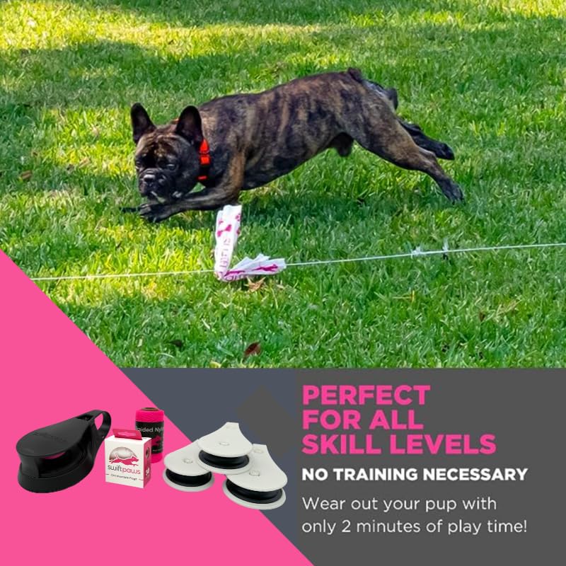 Swift Paws CHASE! tote bag and gear roll store components neatly after play.