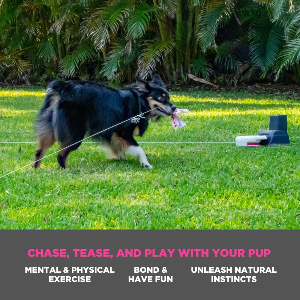 Swift Paws CHASE! assembled-in-the-USA badge highlights durable construction for active dogs.