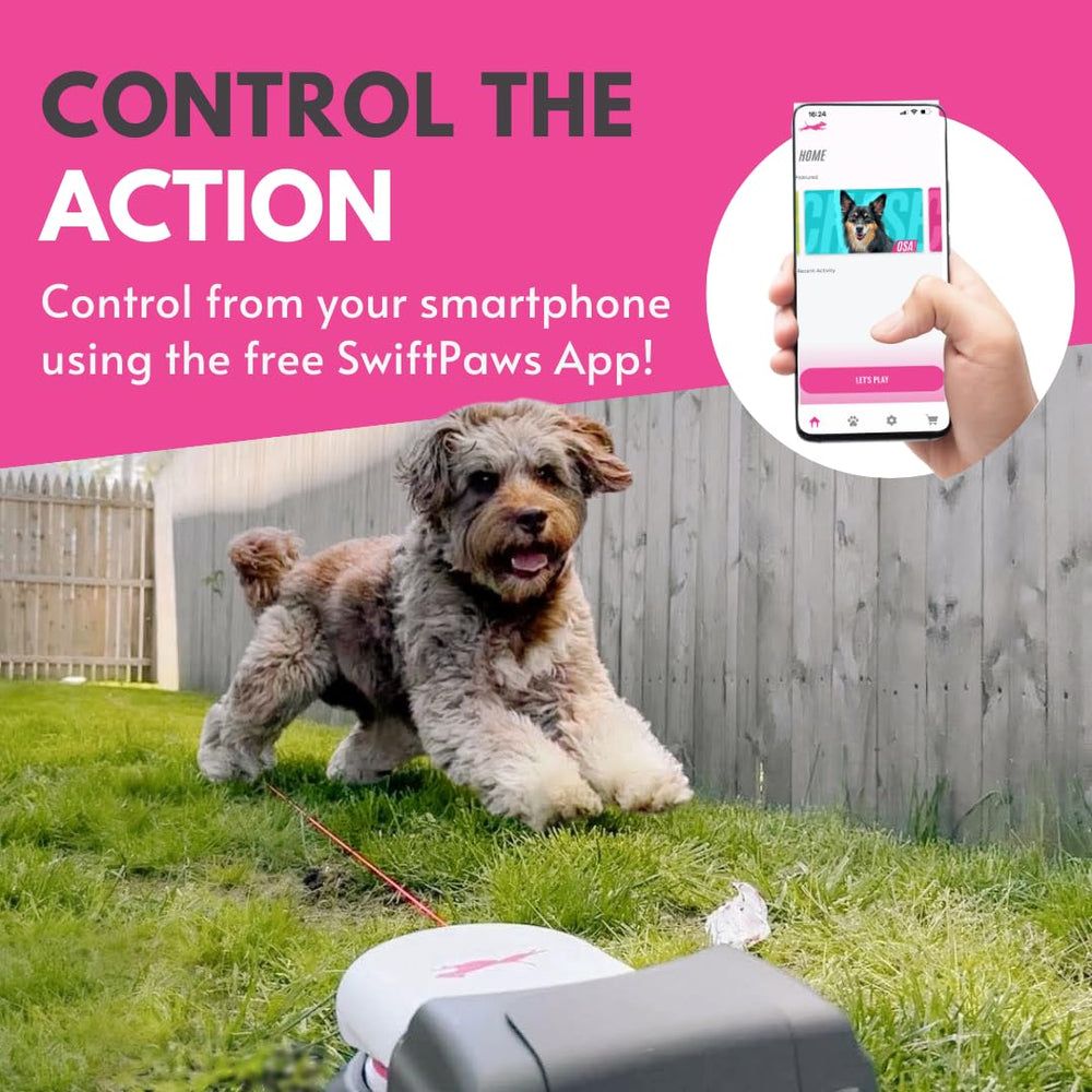 SwiftPaws flags mark the course guiding your dog through play