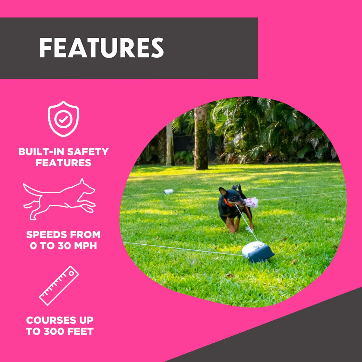 SwiftPaws line stays taut for controlled engaging sessions