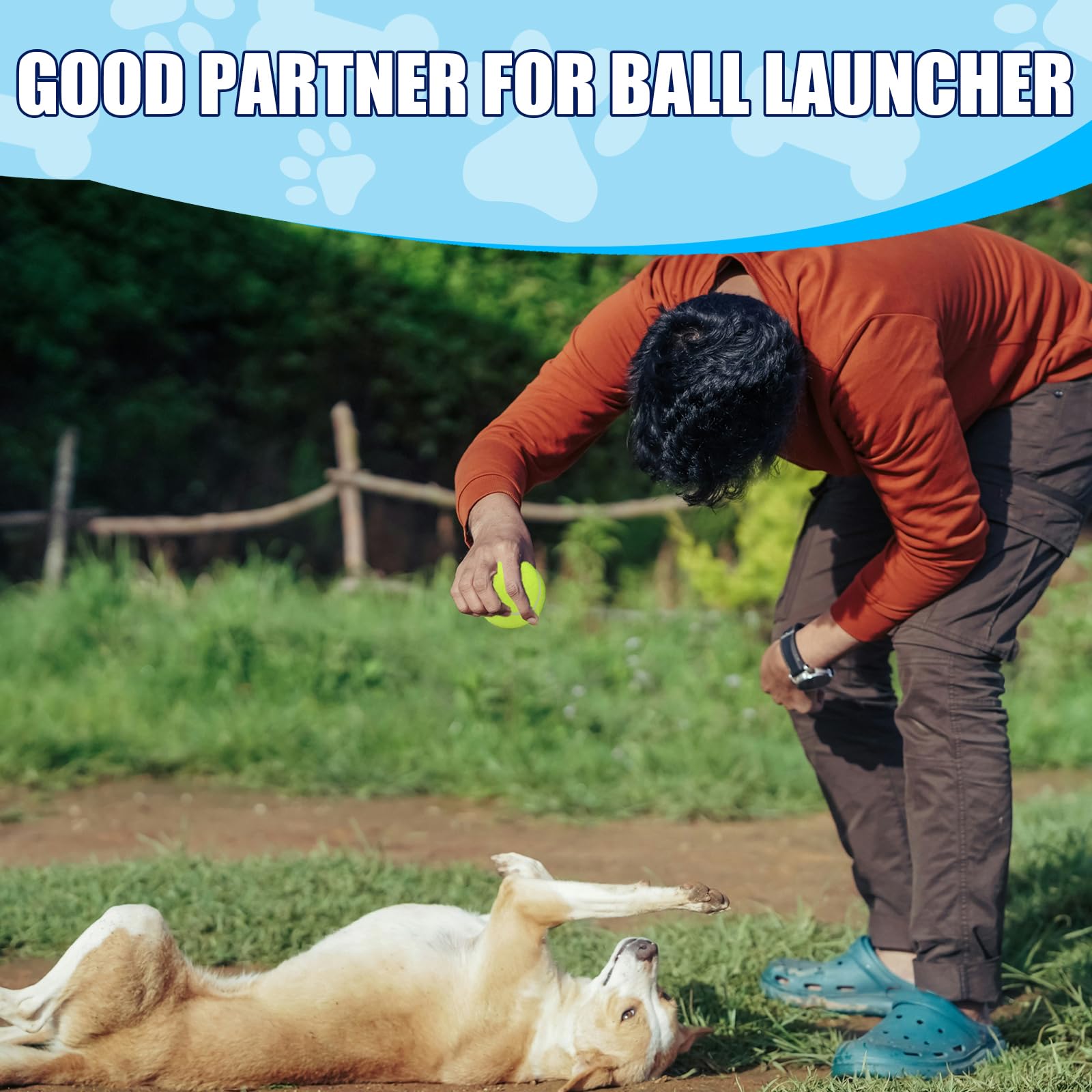 Swingers durable dog tennis balls for use with automatic launchers.