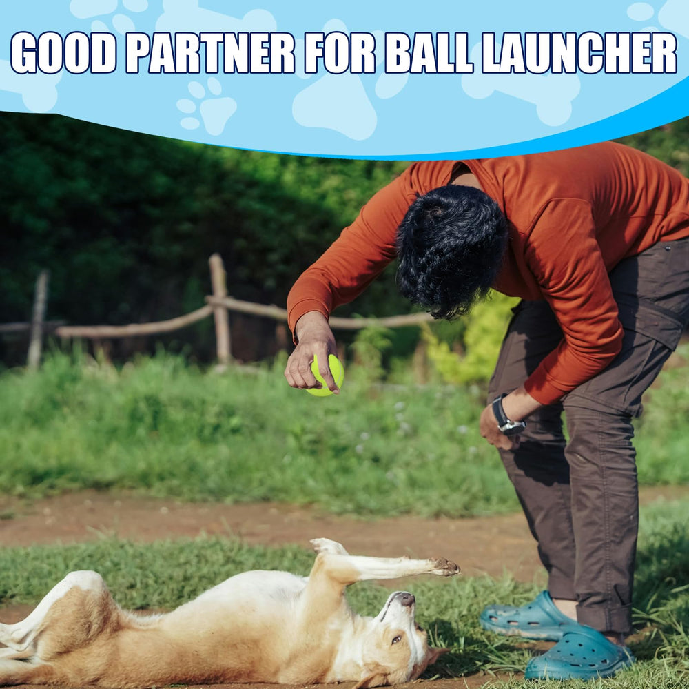 Swingers durable dog tennis balls for use with automatic launchers.