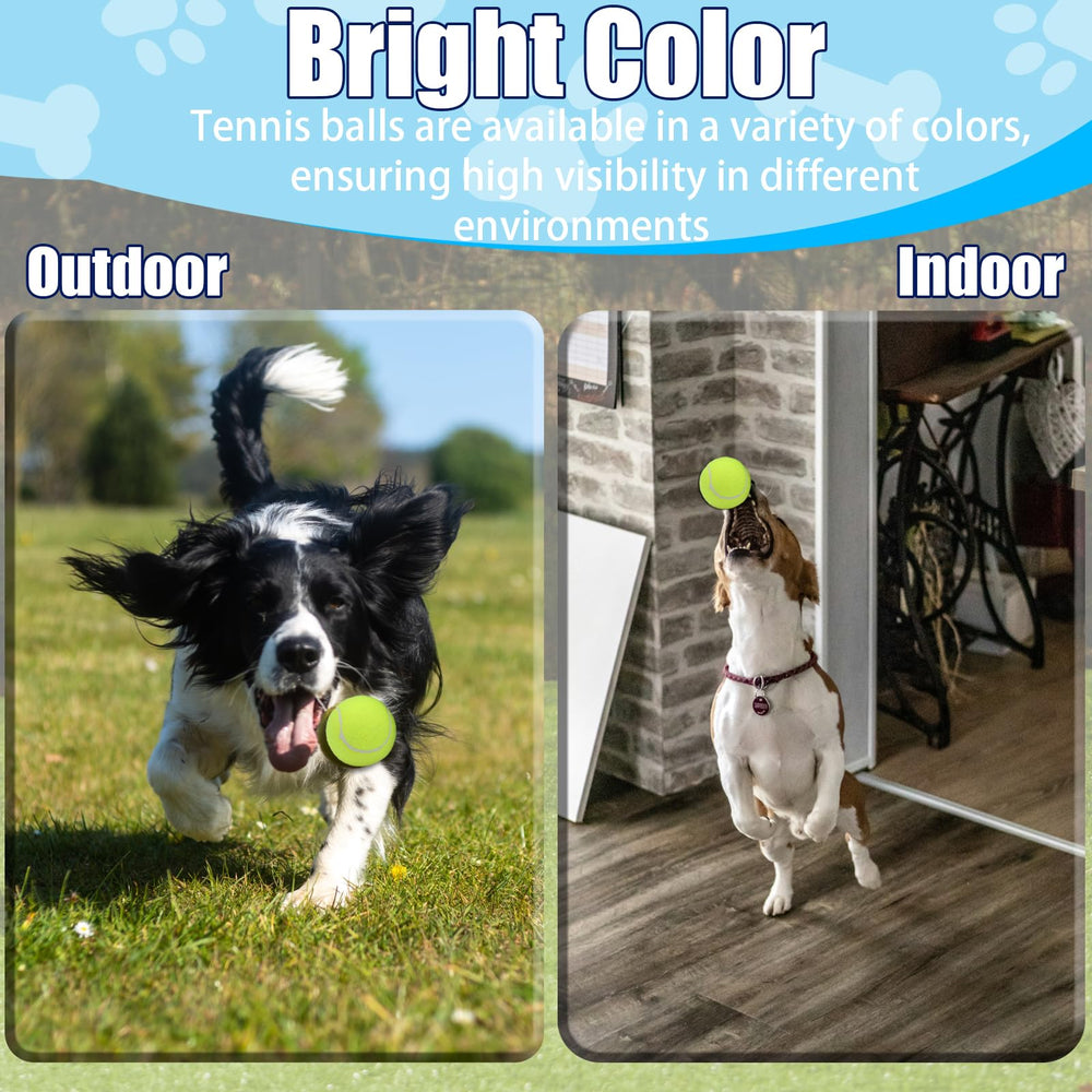 Swingers backyard bonding play pack for family fun with dogs.