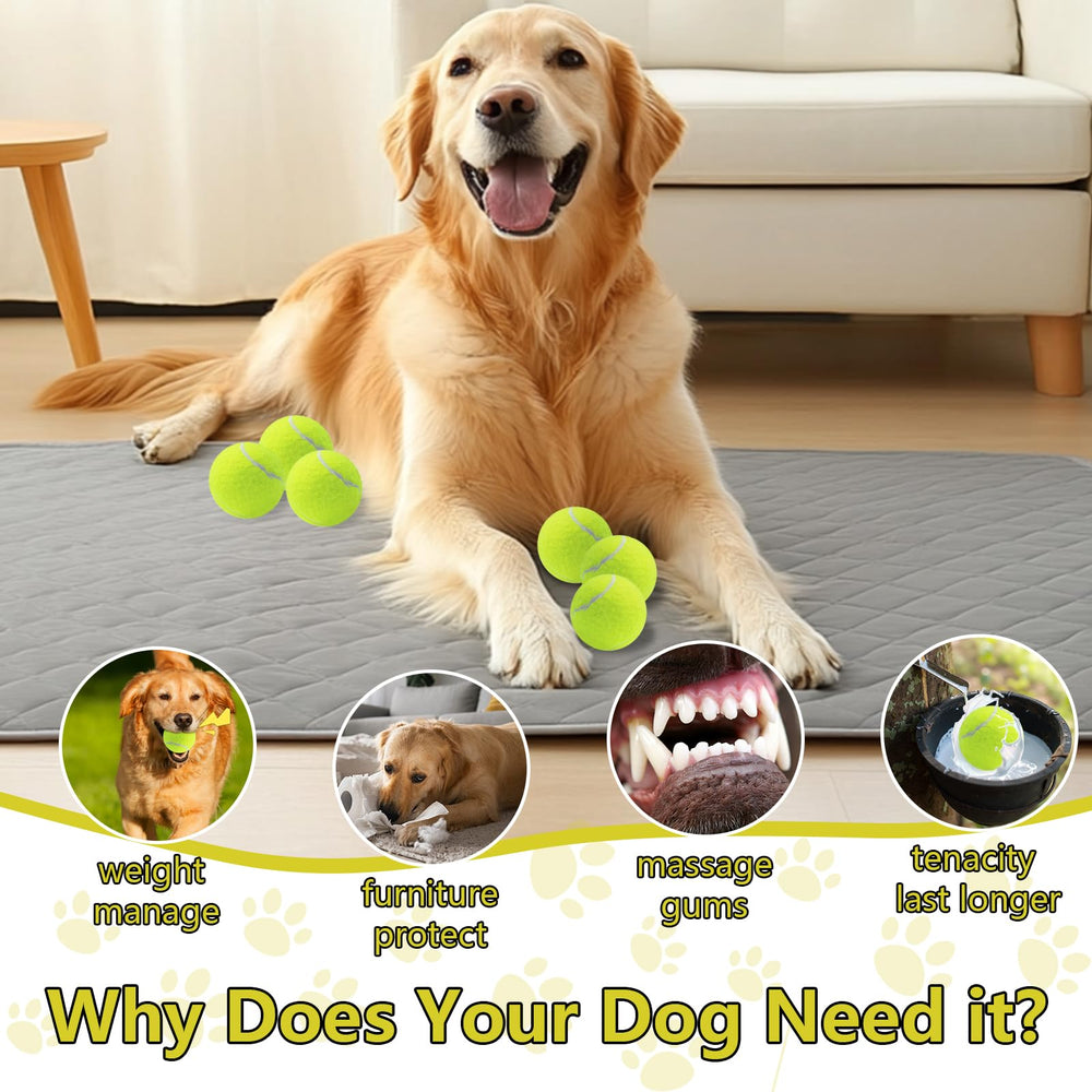 Swingers natural rubber felt 01 emphasizes safe chewing and durable use.