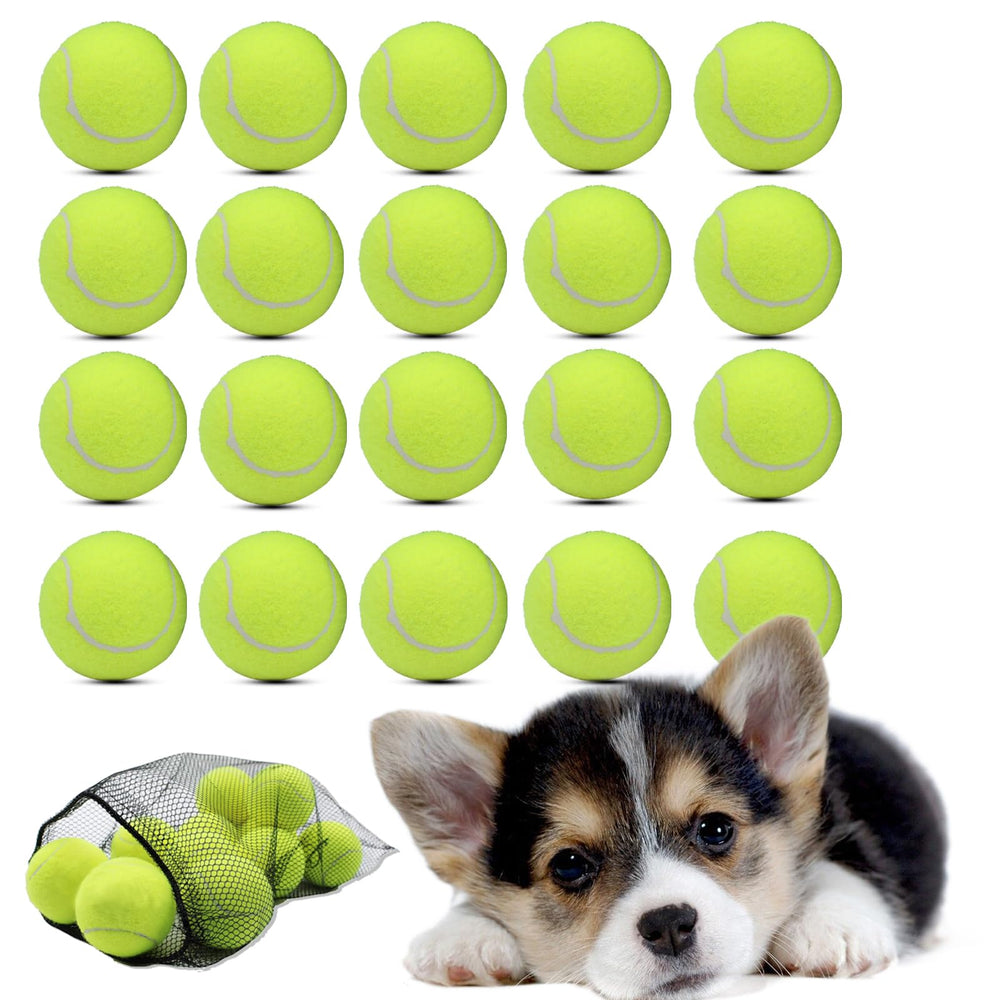 Swingers small tennis balls 20-pack shown together for versatile dog training and play.