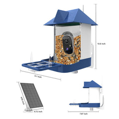 Swingers smart bird feeder 1080HD video captures vivid colors day and night