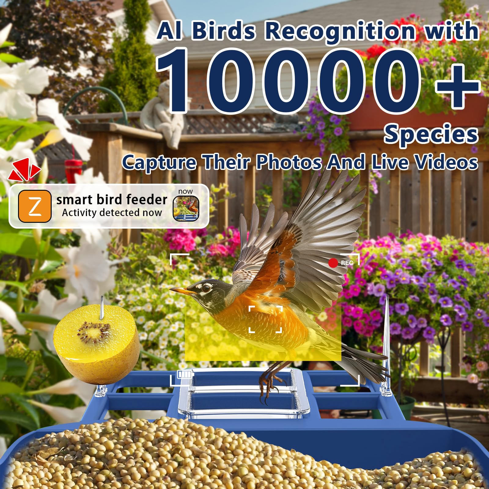 Swingers solar powered bird feeder setup for long-run operation with sun