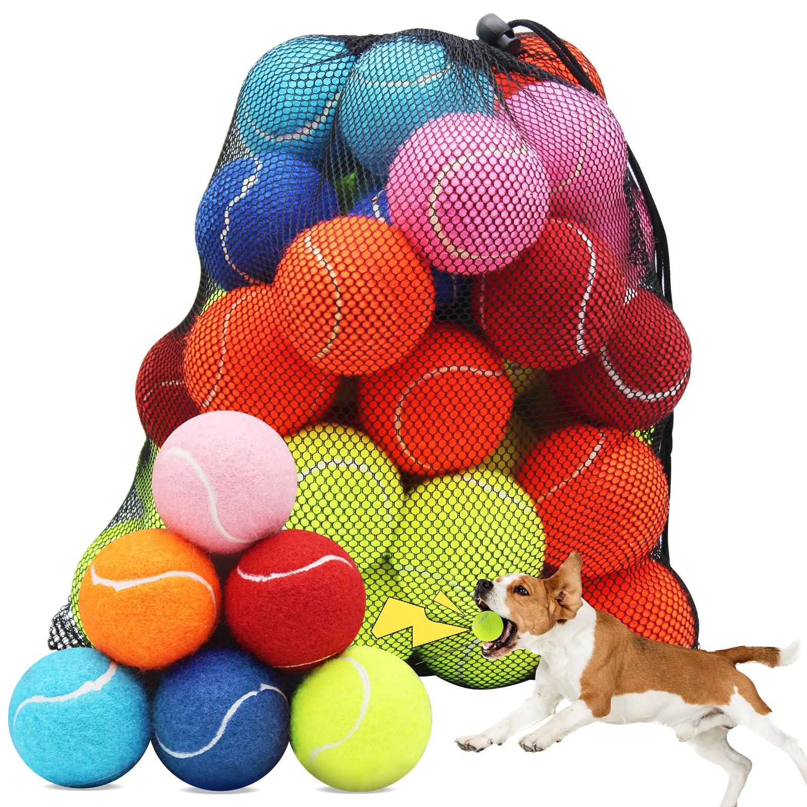 Swingers squeaky tennis ball pack in multicolor for dogs boosts engagement