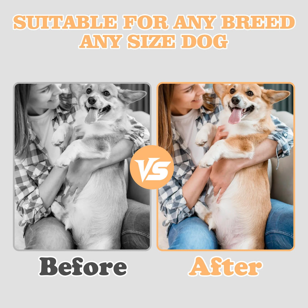 Swirge ABS nail grinder board offers durable paw care during play.