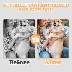 Swirge ABS nail grinder board offers durable paw care during play.