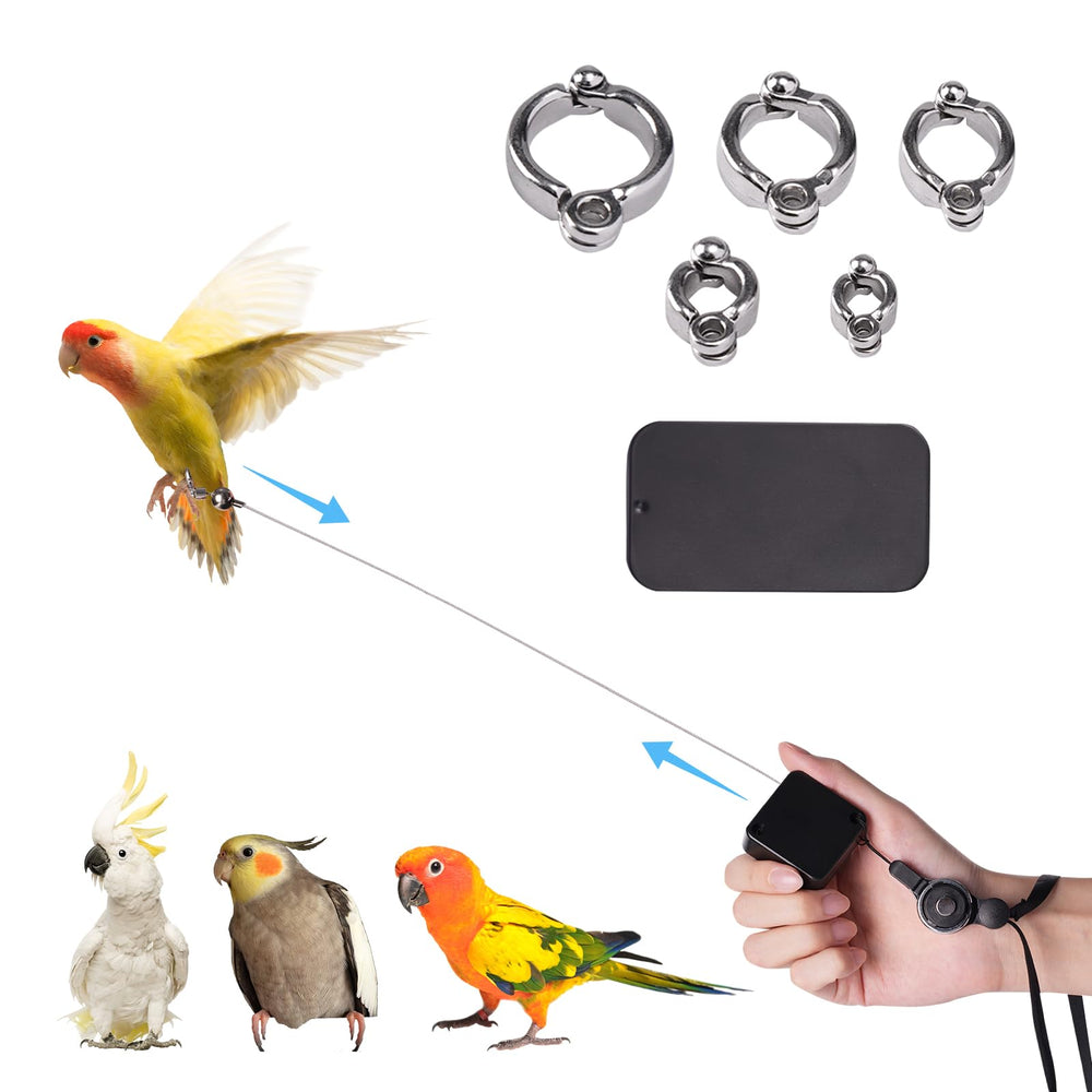 Swirge retractable bird leash overview for safe training and extended exploration