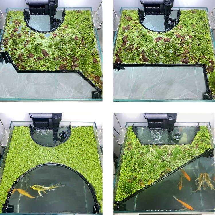 Switior floating plant corral protects plants from the filter and skimmer.