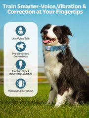 Swotech live video and recording feature enables continuous boundary monitoring.