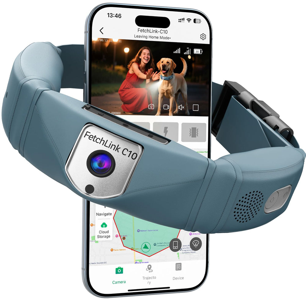 Swotech wireless dog fence system front view shows safe backyard exploration.