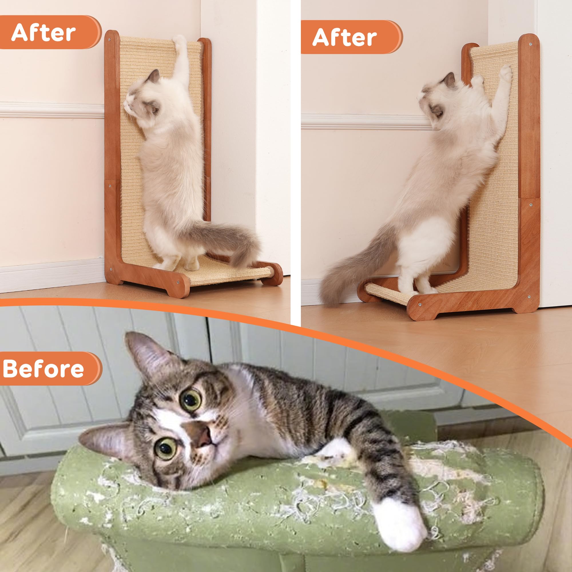 Sxtglxr cat enrichment session promotes activity and bonding during playtime.