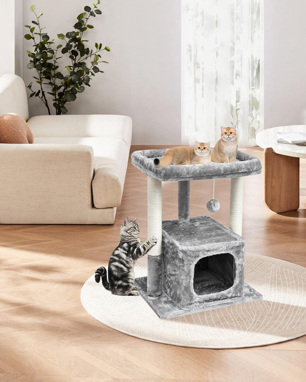 SYANDLVY cat tree spring ball encourages interactive play.