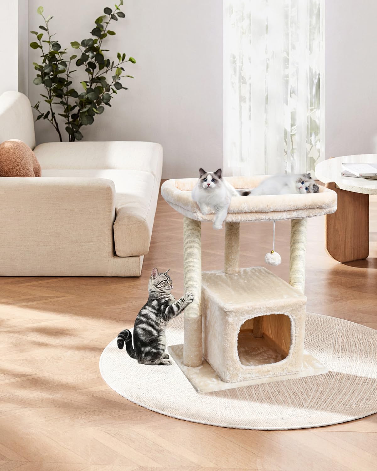 SYANDLVY cat tree beige finish pairs with modern interiors and playtime.
