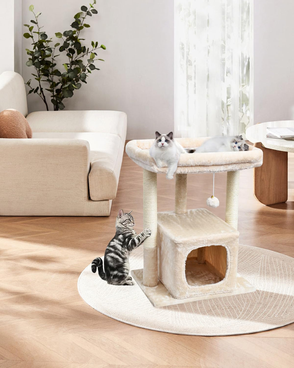 SYANDLVY cat tree beige finish pairs with modern interiors and playtime.