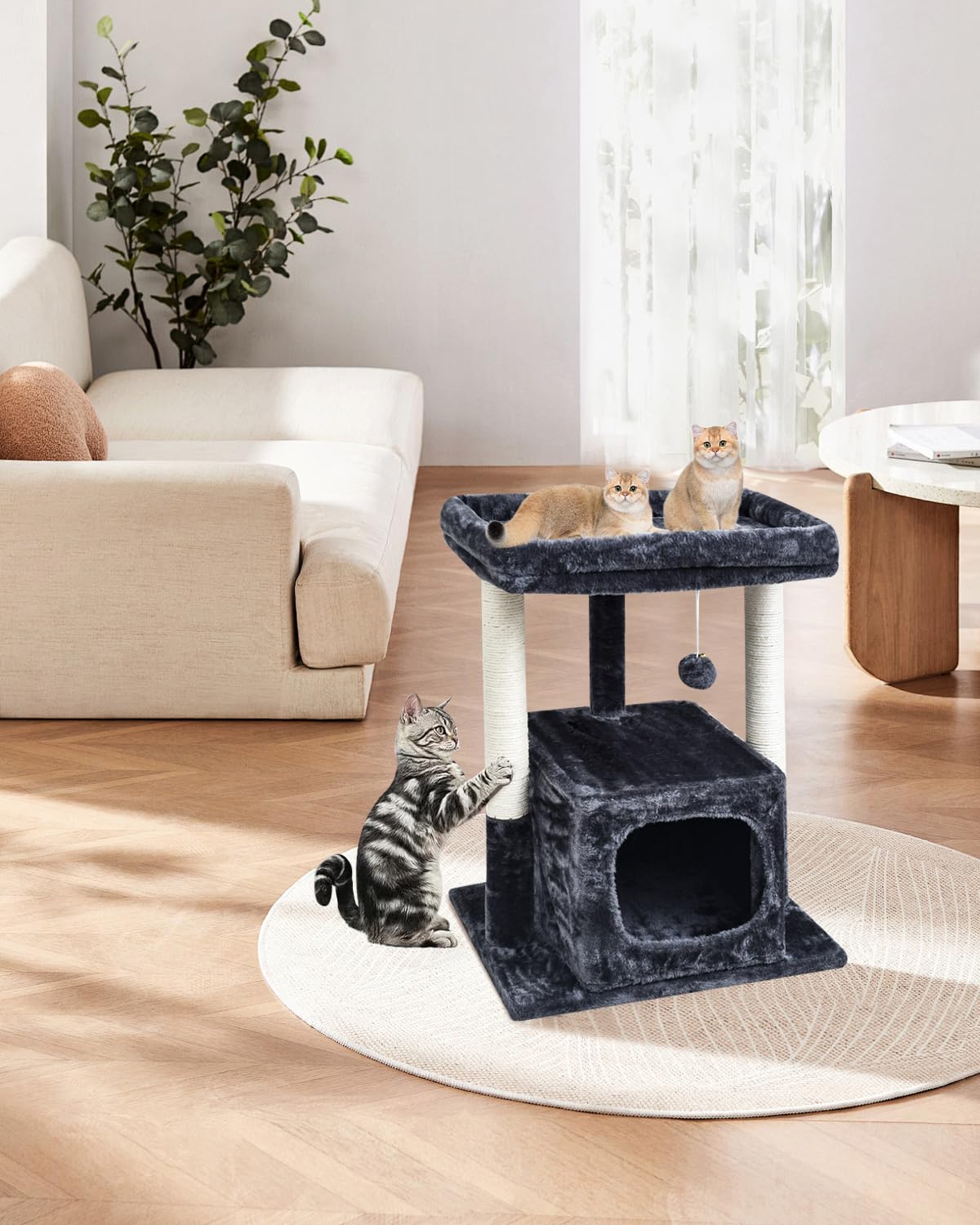 SYANDLVY Smoky dimensions fit comfortably in small-to-medium rooms