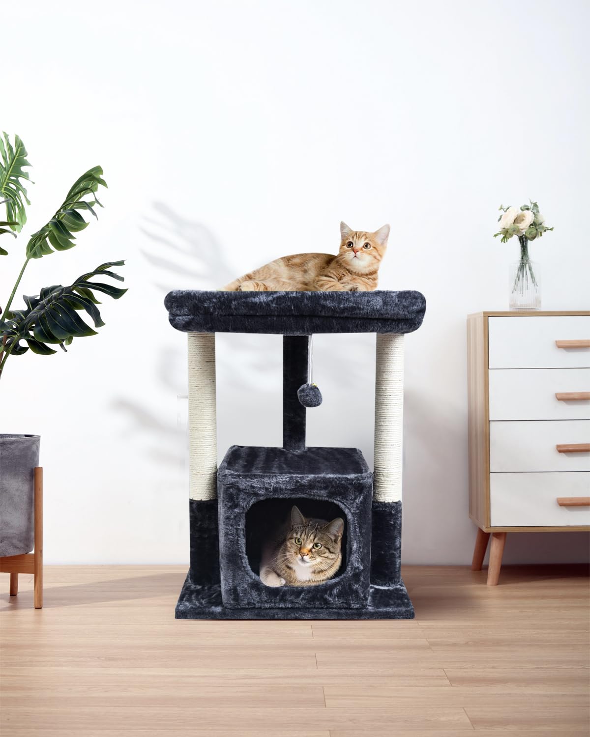 SYANDLVY Smoky plush coating adds warmth and comfort for kittens and adults