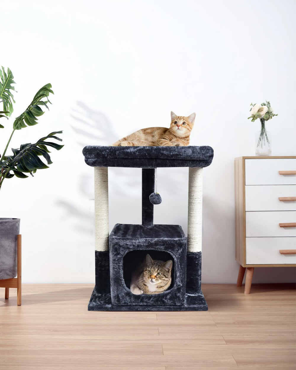 SYANDLVY Smoky plush coating adds warmth and comfort for kittens and adults
