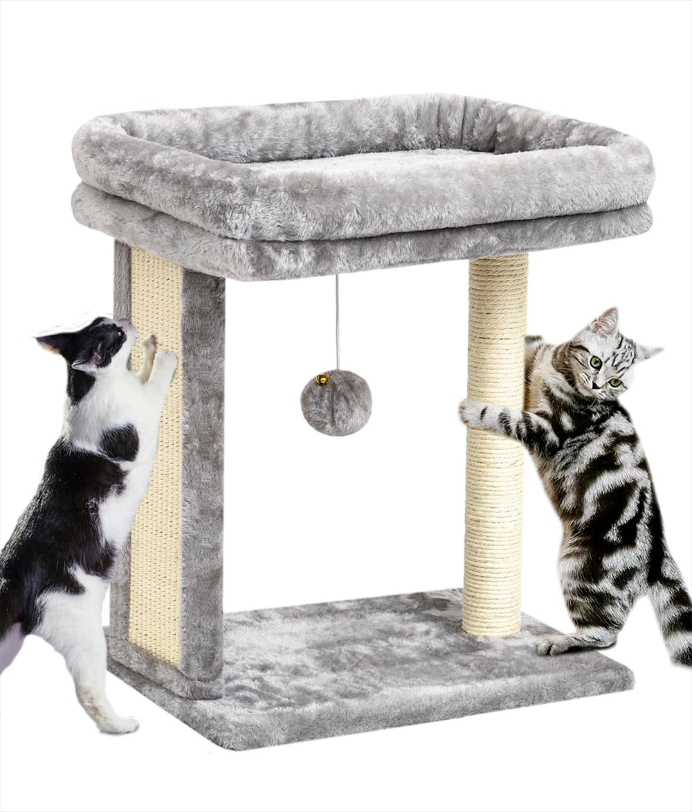 SYANDLVY cat tree top perch offers a soft cozy stretch for kittens.