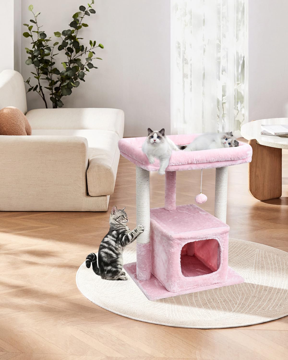 SYANDLVY modern pink cat furniture blends with home decor while entertaining cats.