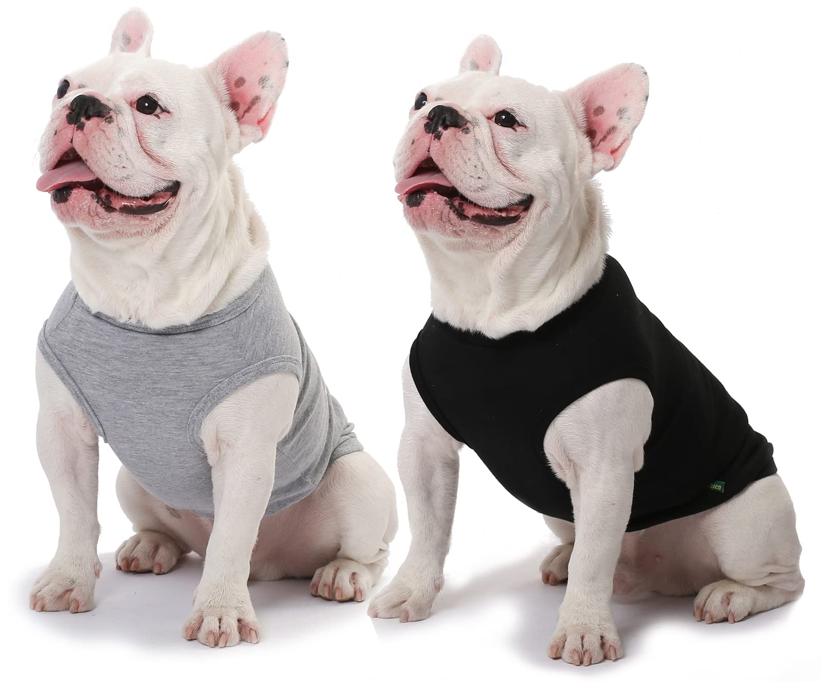 SyChien dog blank large shirt with dog and owner shows coordinated outfits.