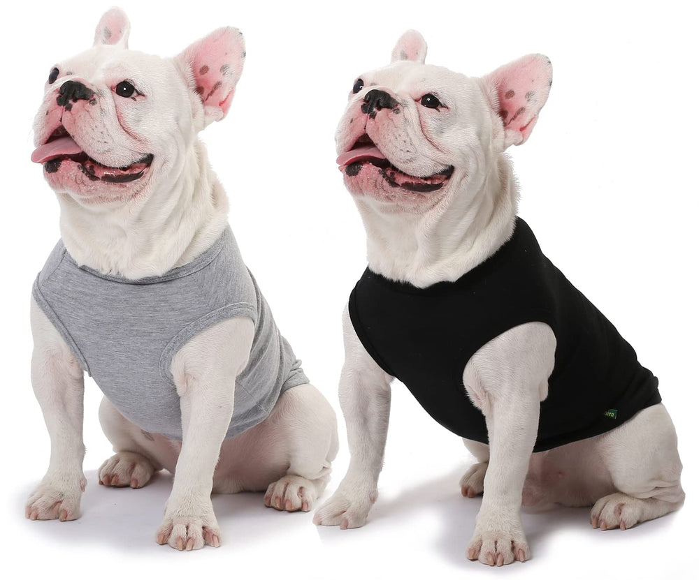 SyChien dog blank large shirt with dog and owner shows coordinated outfits.