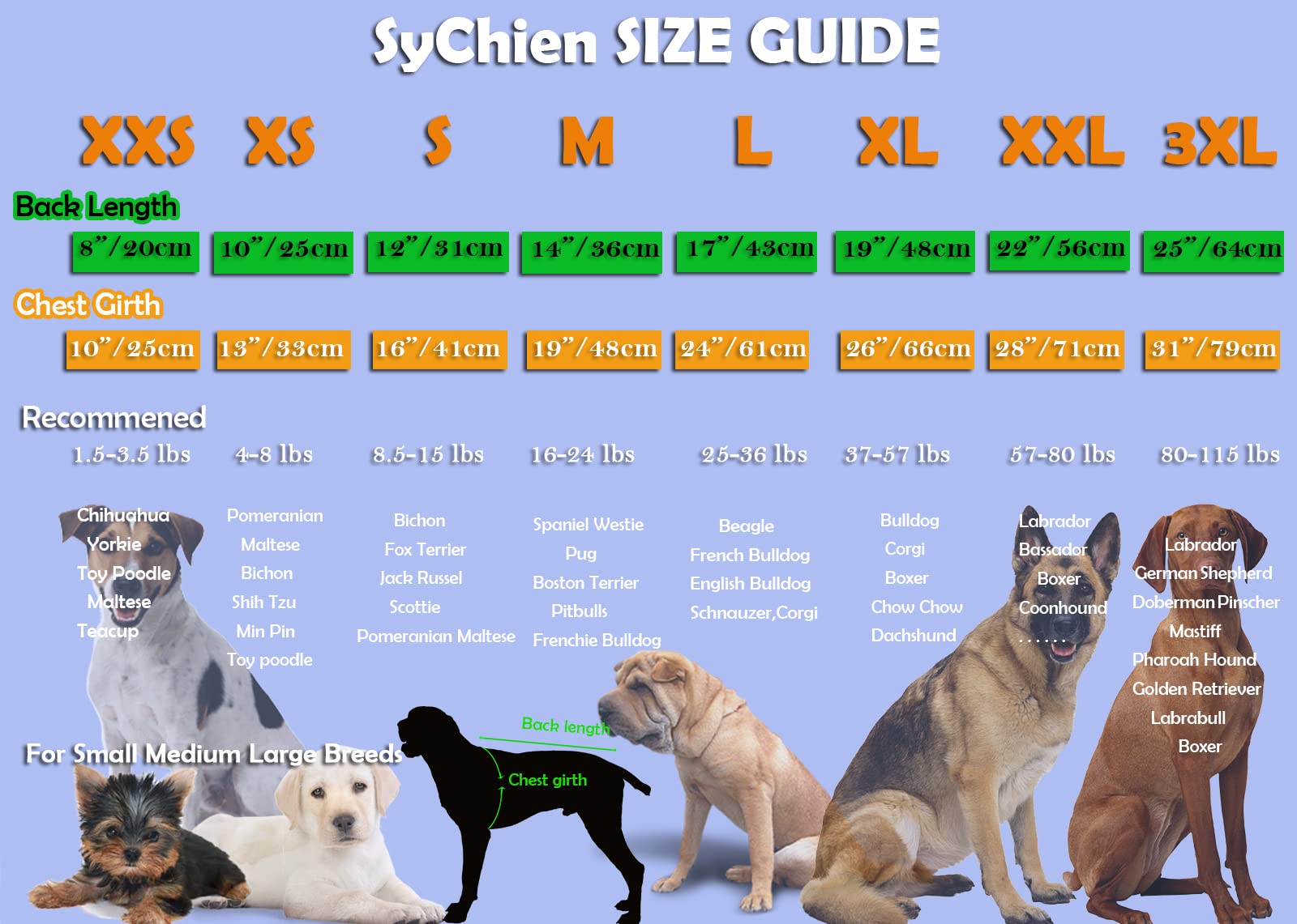SyChien dog blank large shirt two-pack image promotes convenient daily replacement outfits.