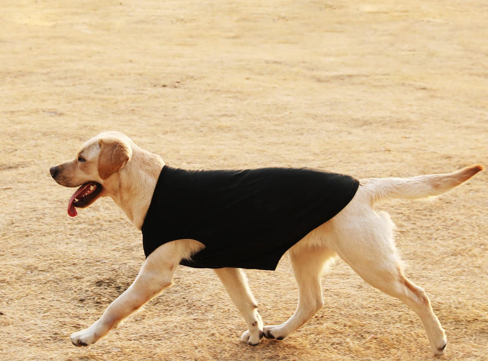 SyChien grey-black color shirt pairs with outfits.