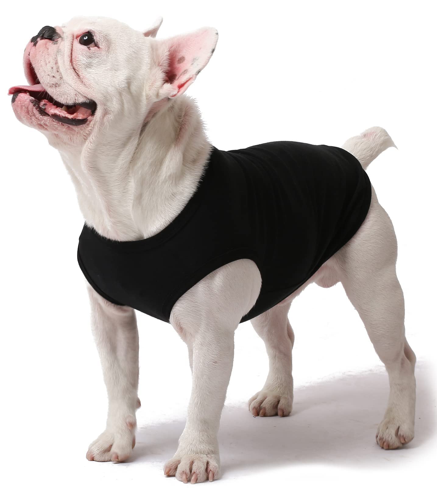 SyChien size guide image helps owners pick right fit.